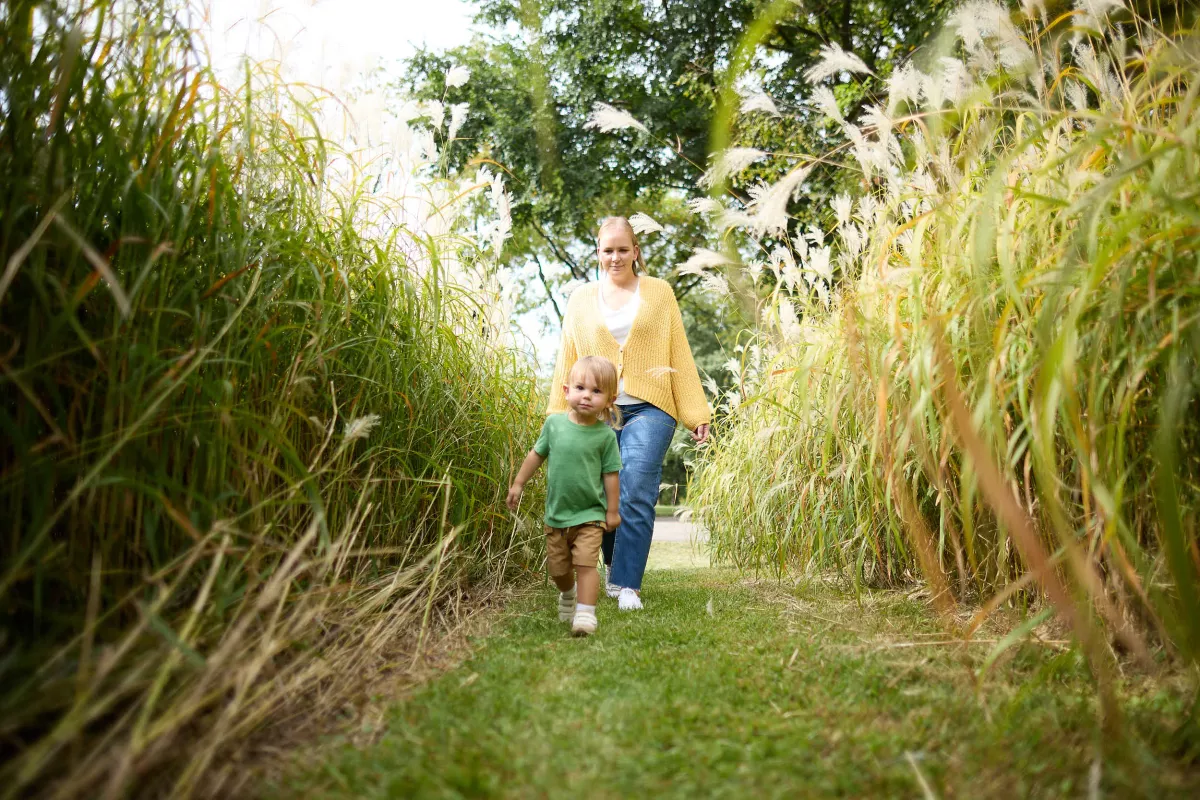 UI Health Care brand updates