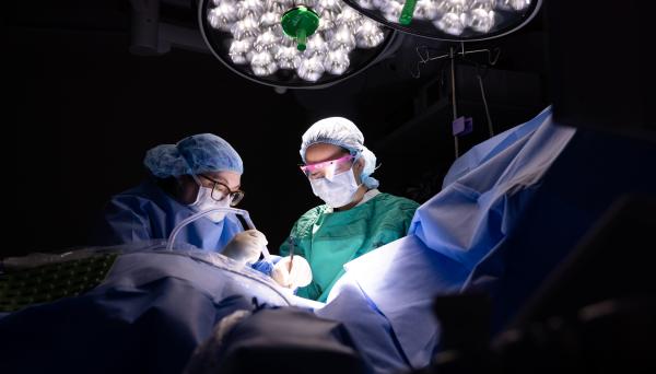 Surgery in the operating room